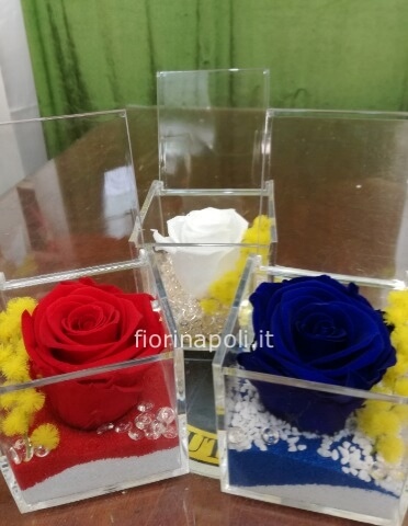 Rosa stabilizzata con mimosa o con gypsophila